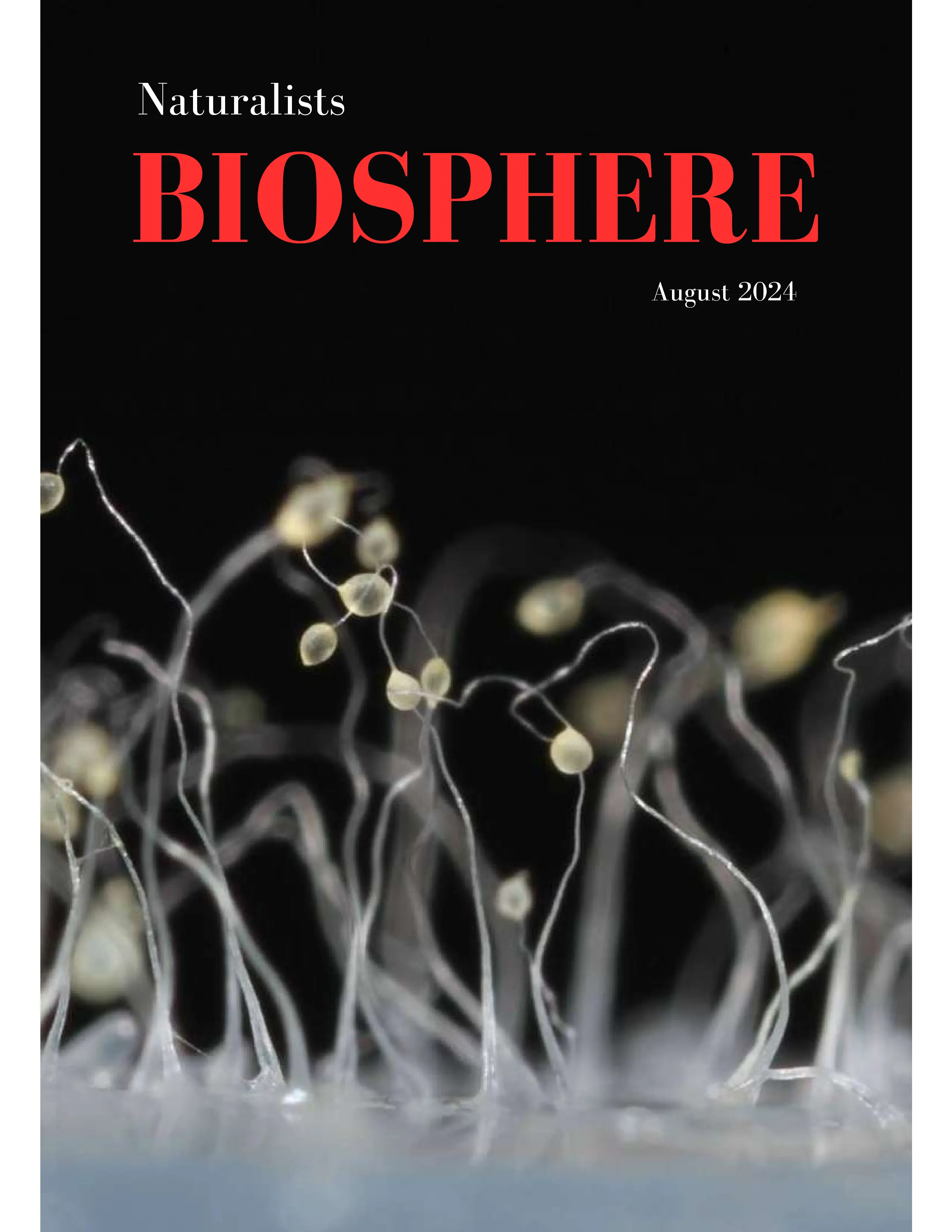 BioSphere August 2024