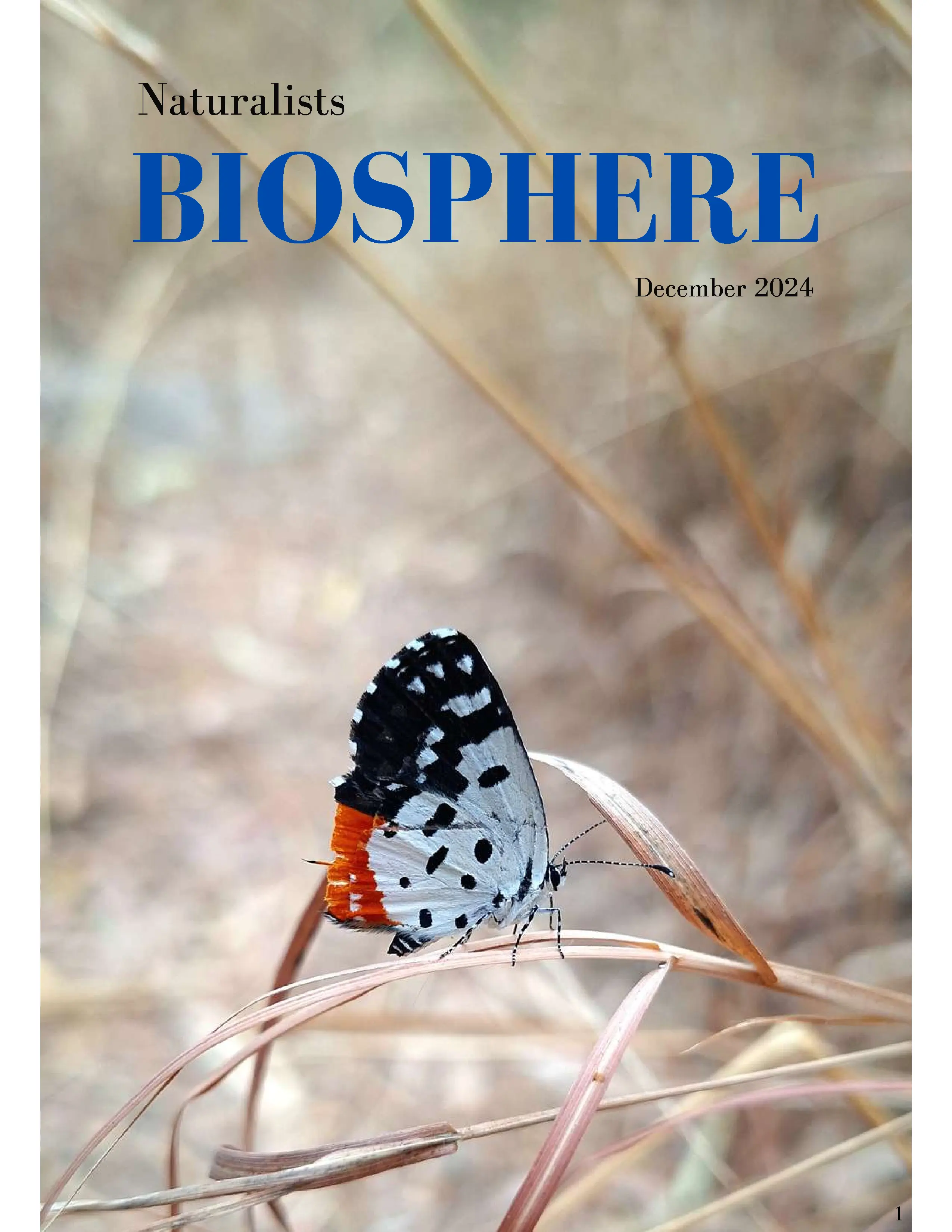 BioSphere December 2024