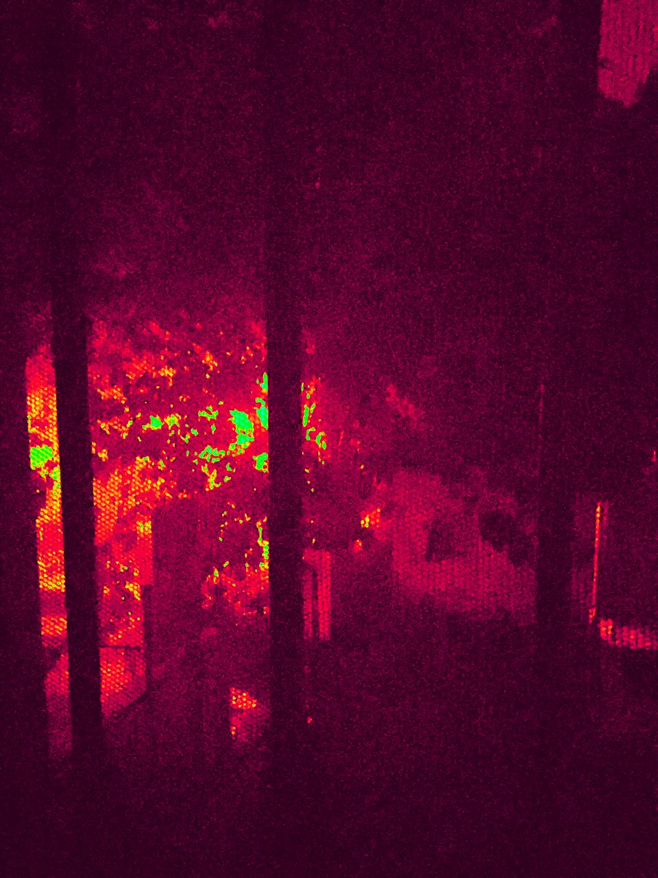 Dark