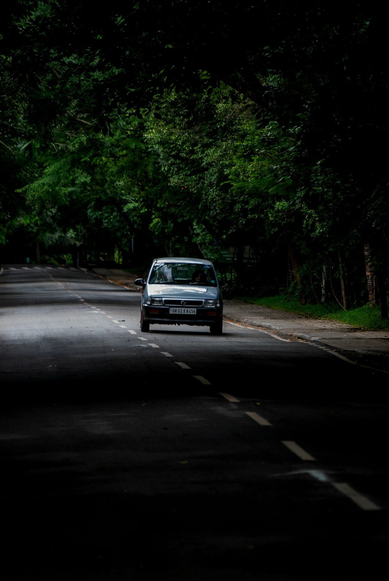 Drive amidst nature