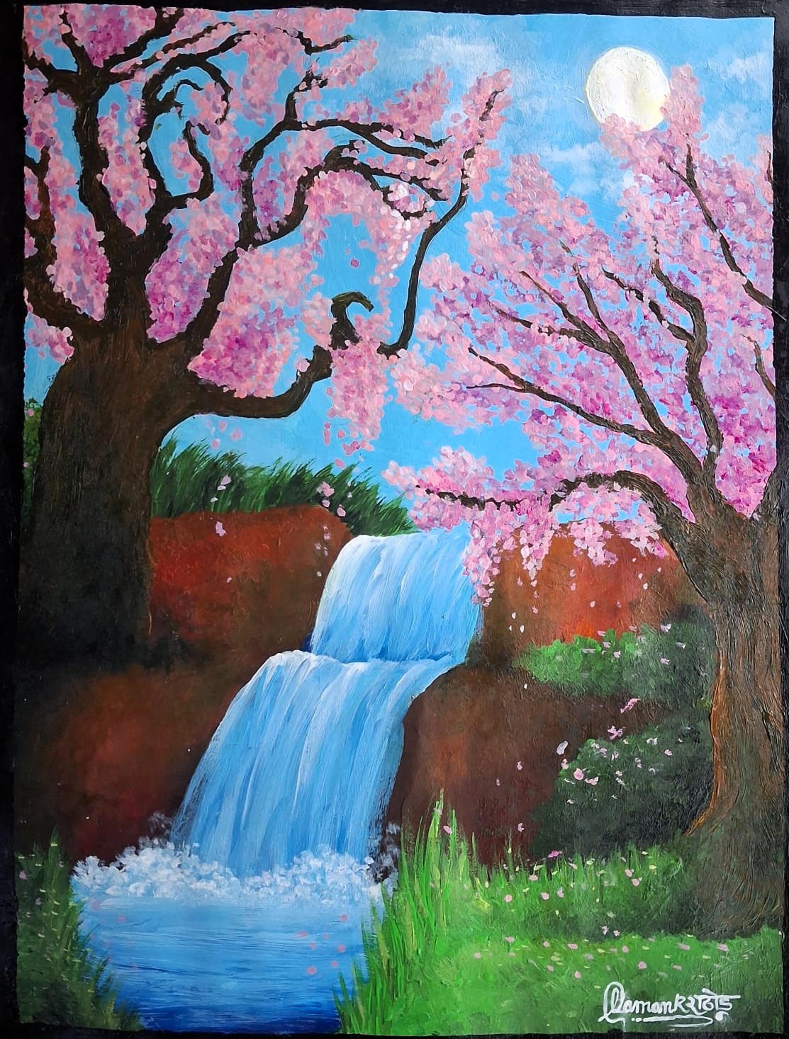 Cherry blossom