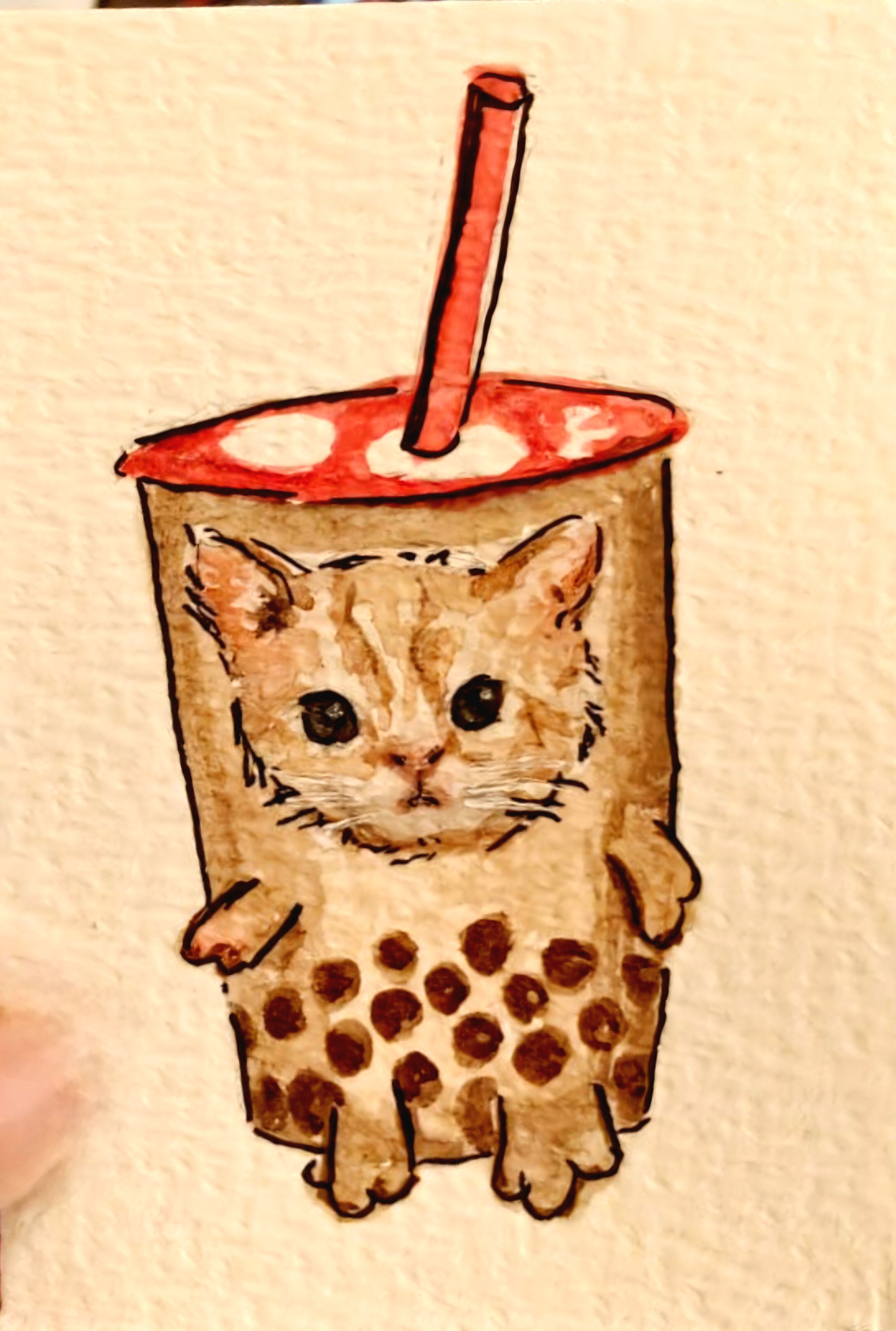 Cup Cat