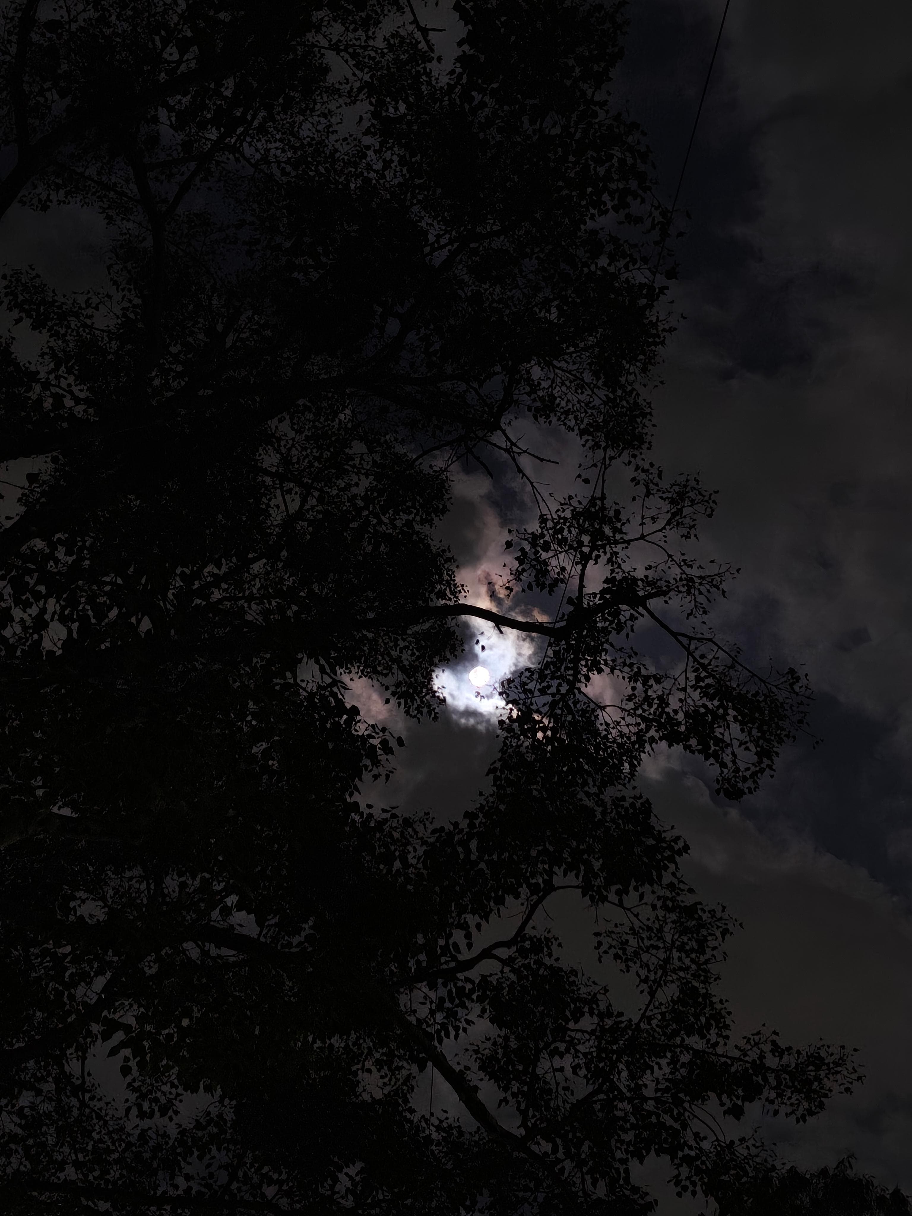 Night Sky Whisper