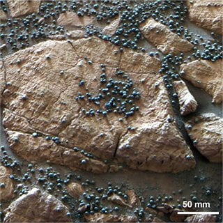 Blueberries on Mars
