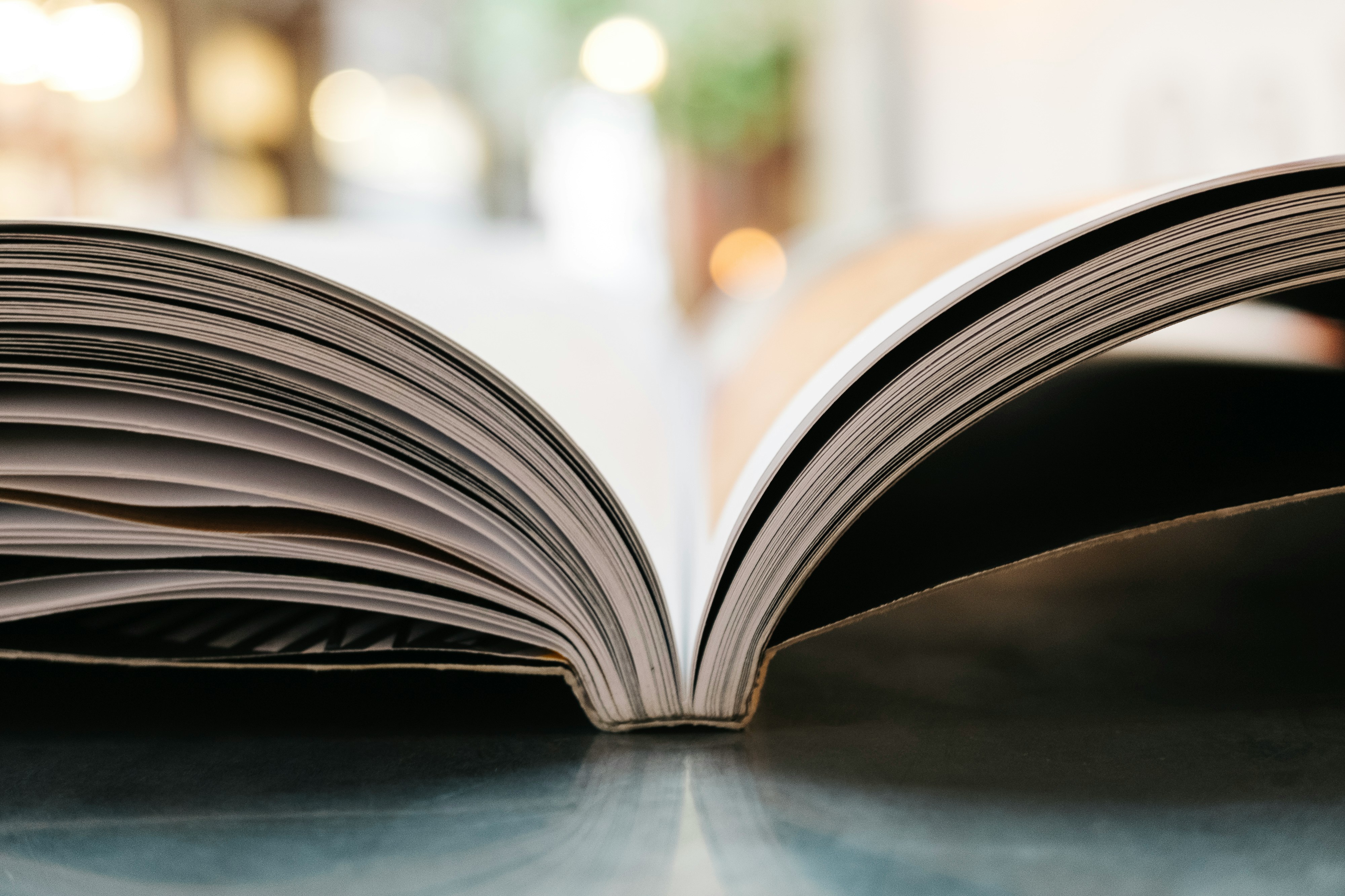 The Parts We Haven't Read Yet
